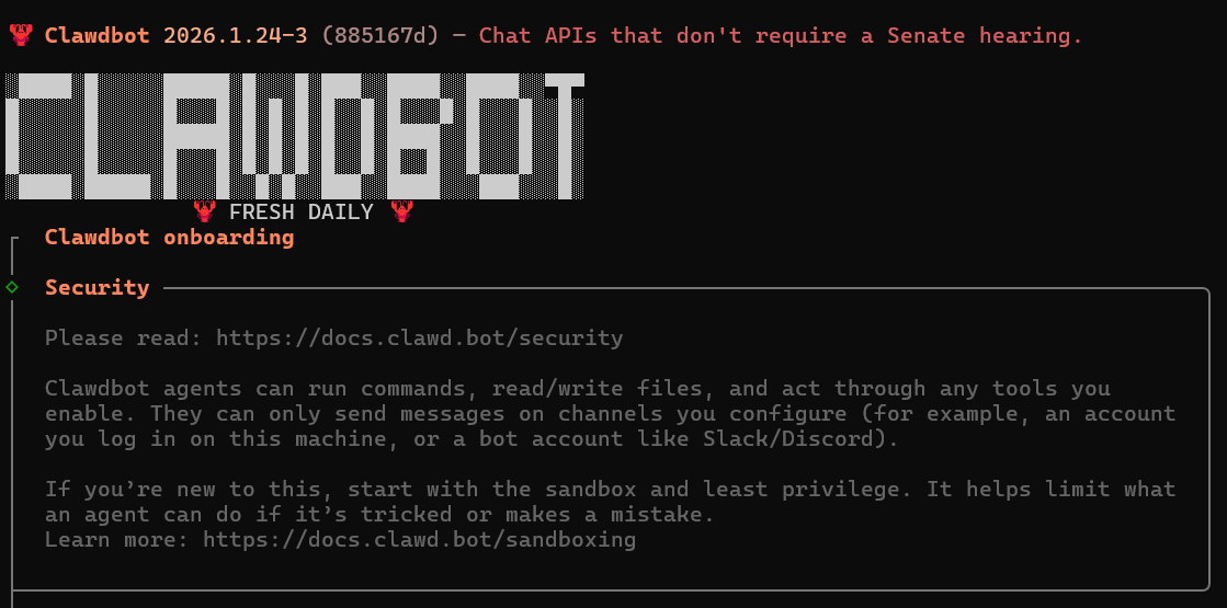 Clawdbot 初始化界面